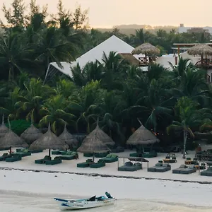 4* ホテル Casa Tortugas Petit &