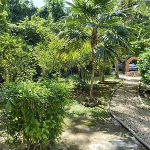 Mini Pini Bird Watching Loft Villa